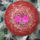 Dscf7370_1710566_1698_t