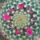 Dscf7371_1710567_5205_t