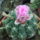 Dscf7373_1710568_8272_t