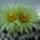 Dscf7382_1710930_2721_t