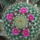 Dscf7383_1710931_9907_t