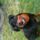 Img_1463_1701111_1265_t