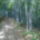 Kep1586_1701676_2126_t