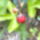Kep1590_1701674_3696_t