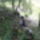 Kep1594_1701685_4131_t