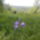 Kep1595_1701689_1046_t