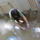 Mobilkep5119_1071275_3632_t