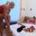 Szandi_es_aniko_1701578_4064_t
