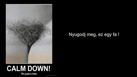 Nyugi ,nem az amit látsz.Lehet hogy rósz a szemed ?