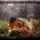 Vicces_3_1721194_2506_t