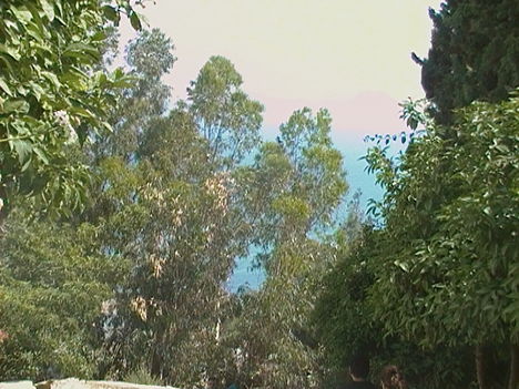 CAM_0709