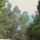 Cam_0709_1722959_7831_t