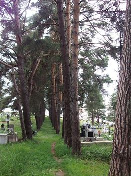 Csíkkarcfalva temető a templom kertjében