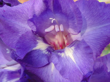 DSC01716
