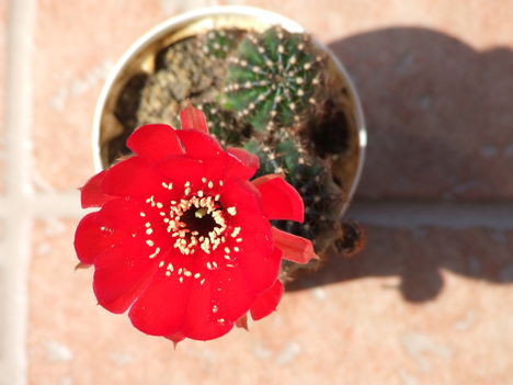 DSCF7732