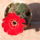 Dscf7732_1722663_9467_t