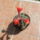 Matucana_1722666_6779_t