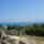 P1070054_1722989_5679_t