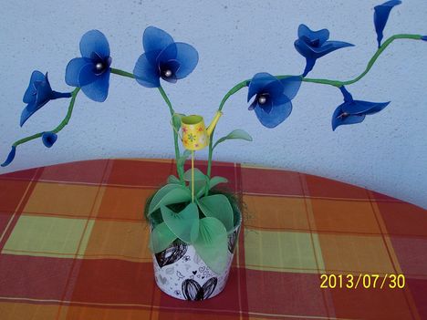 harisnya kék orchidea