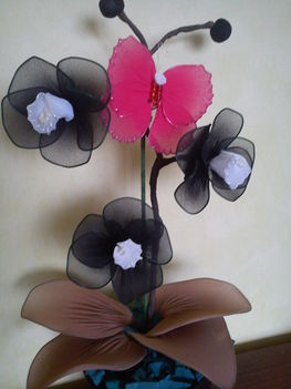 orchidea feketében