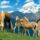 Kellemes_es_vidam_hetveget_kivanok-001_1724860_2816_t