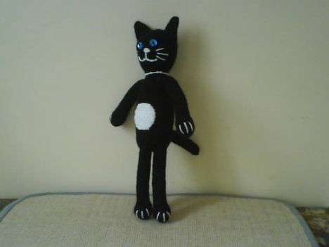 fekete cica állva