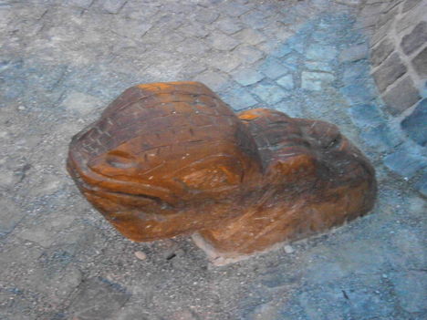 Teknősfej