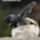 Jooo_reggelt_1727055_8515_t