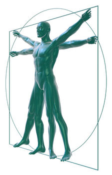  VITRUVIAN MAN