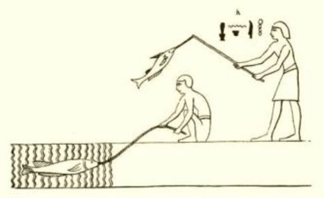 egyiptomi horgász ábrázolás