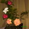 karácsonykor virágzott-hibiszkusz