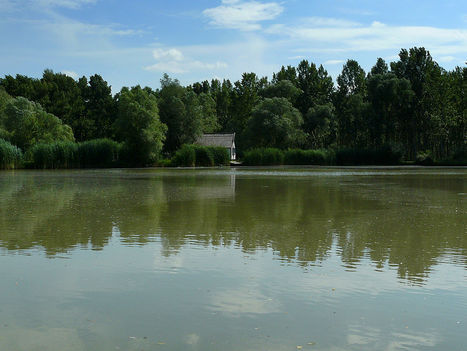 "Kenderes" tó