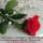 Aldottszep_napot__kivanok-060_1731617_9571_t