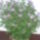 Augusztusi_viragok_3_1731340_8474_t