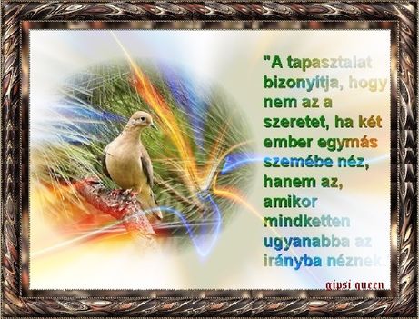 Idezet
