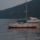 Kotori_obol_ozdi_csoport_6_1732600_4190_t