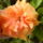 2013_08_20_3_1733615_1731_t