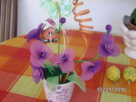 orhidea 