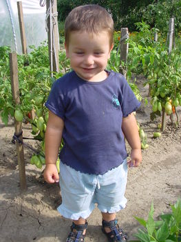 "Én kis kertész legény vagyok" 4