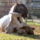Jo_reggelt_vidam_szep_napot_1734516_9716_t