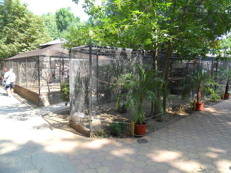 Nyíregyházi Állatpark - Sóstó Zoo növényvilága