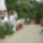 Augusztusi_viragok_3-001_1737618_1743_t
