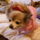 Manokam_1737949_7657_t