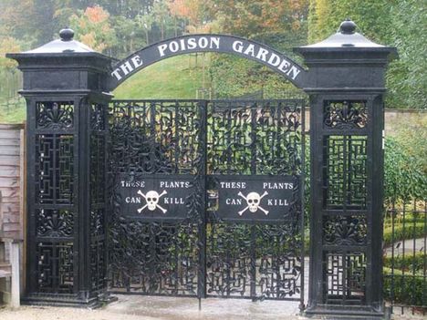 Alnwick Poison Garden – a világ legmérgezőbb kertje
