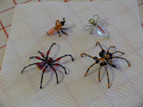 P1040346  Pókok és rovarok csapata