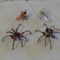 P1040346  Pókok és rovarok csapata