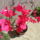 Murvafurt_1741784_6427_t