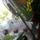 Orchideak_1-002_1741126_5696_t