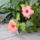Ma_reggel_ok_udvozoltek_1_1742042_9821_t