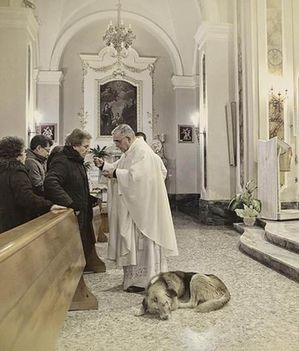 A kutya, aki egy olasz templomba jár..
